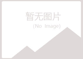 鹤壁山城夏青建设有限公司